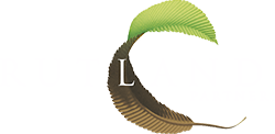 Rutlandlogo white 250x126x